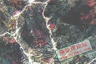 碳素工具钢碳化物网组织.jpg