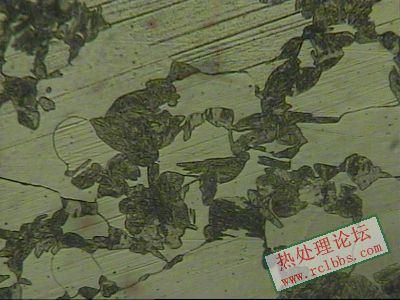 GCr15伪组织.jpg