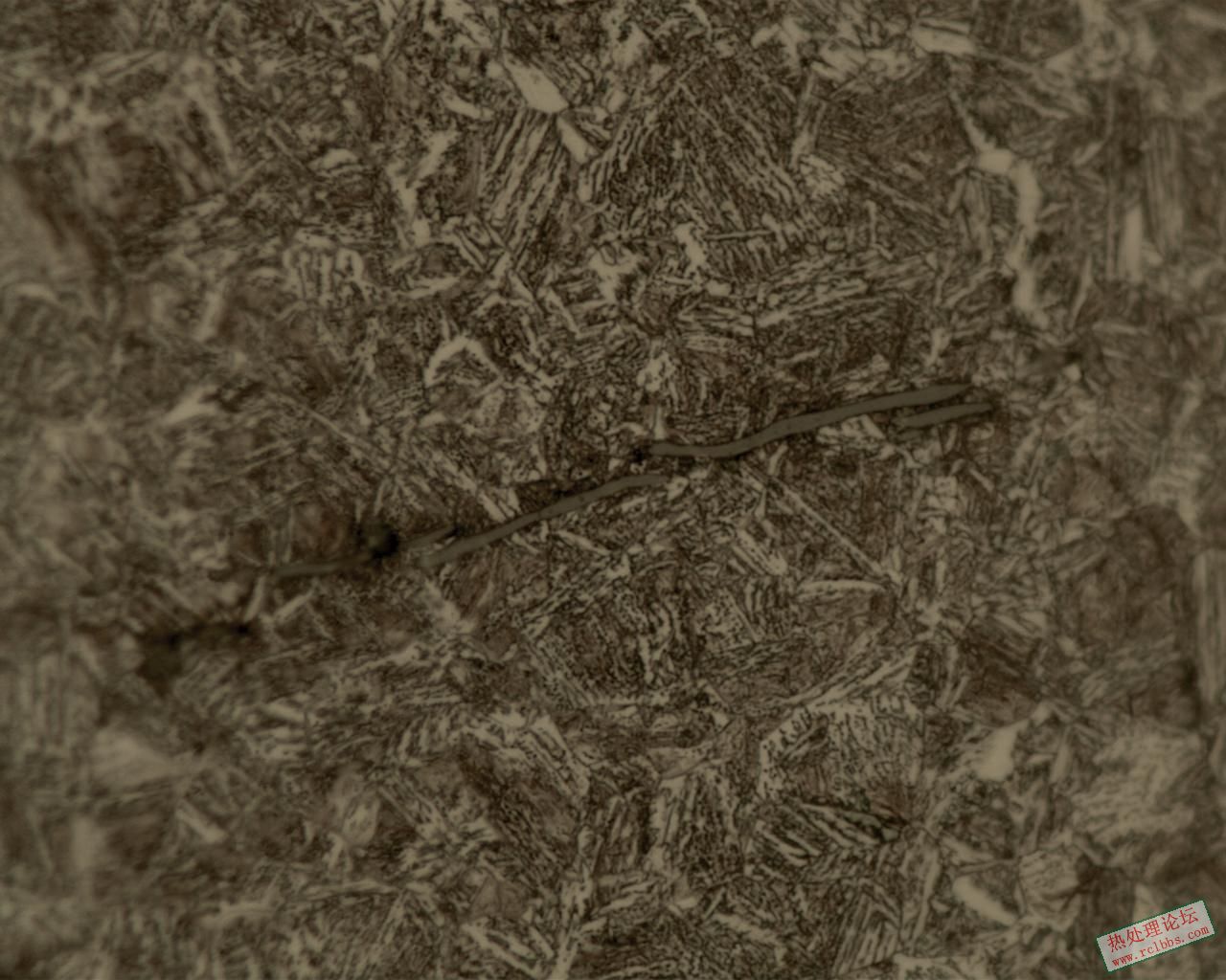 1000x.jpg
