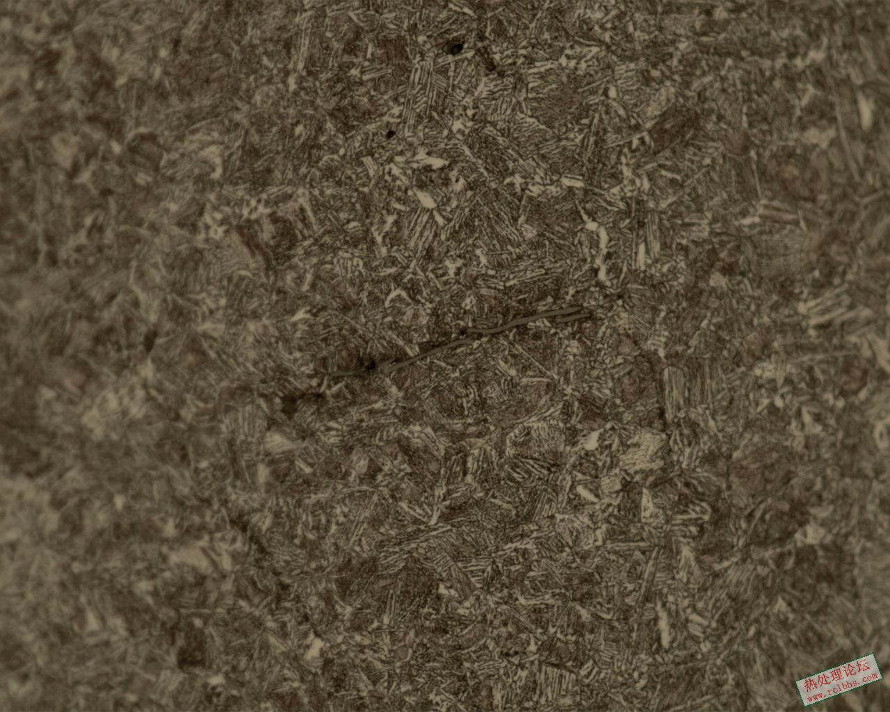 500x.jpg