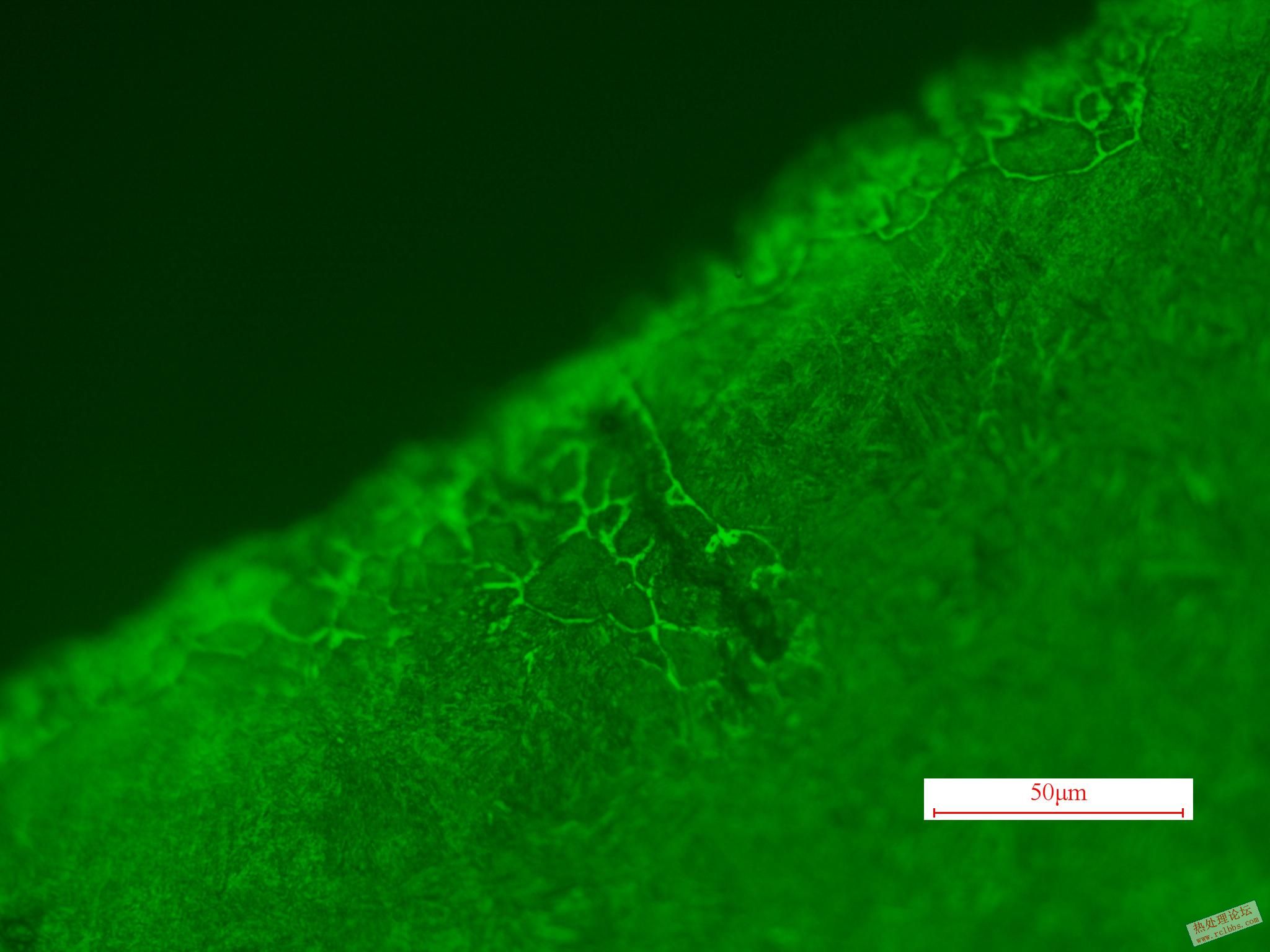 500X-8.22-2.jpg