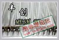 档片加固型网带