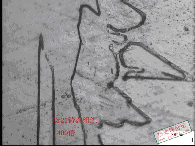 Cr21铸态400倍