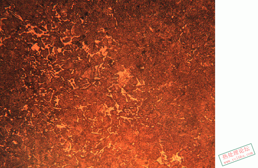 柄 250X 2#.GIF