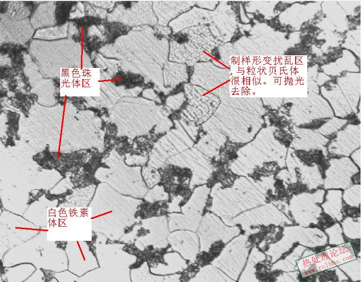 20钢金相.jpg
