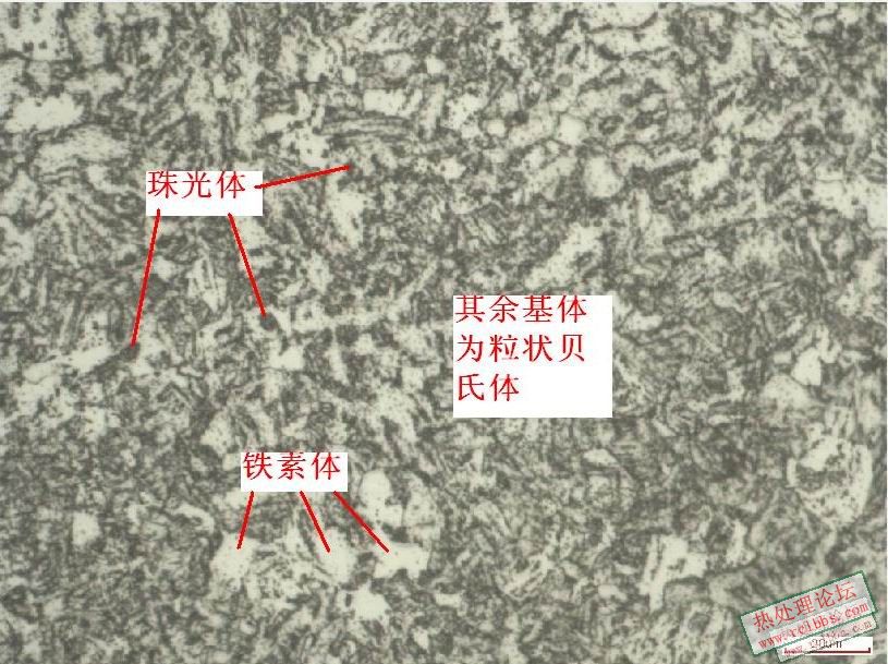 20CrMnMo正火金相.JPG