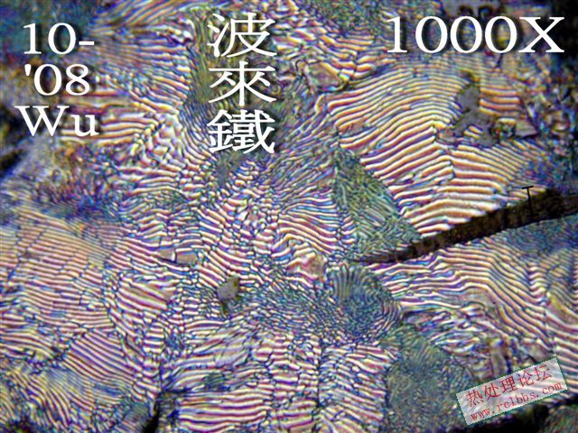 P1016939.jpg