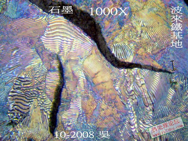P1016937.jpg