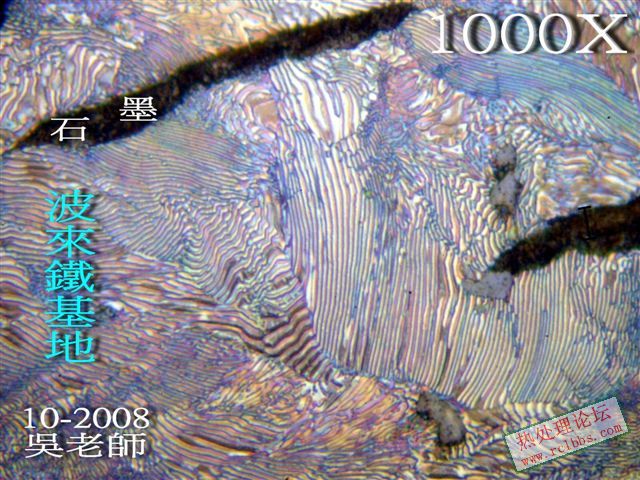 P1016930.jpg