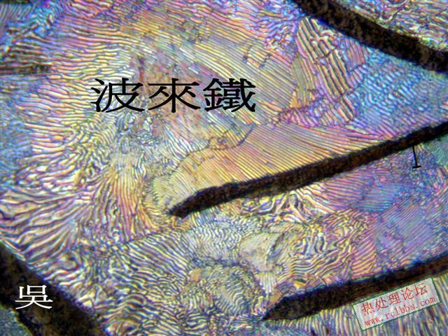 P1016940.jpg