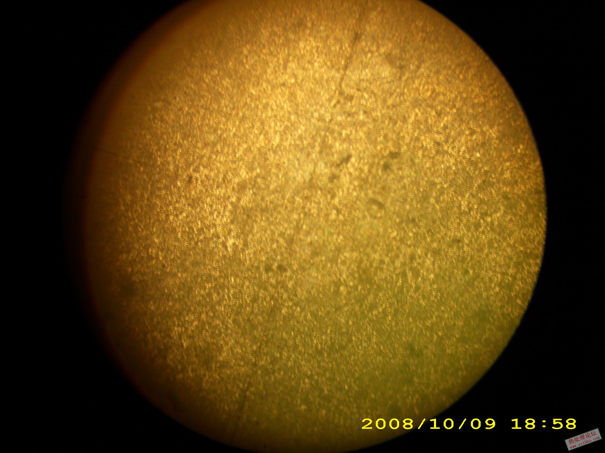 DSCI0529.JPG