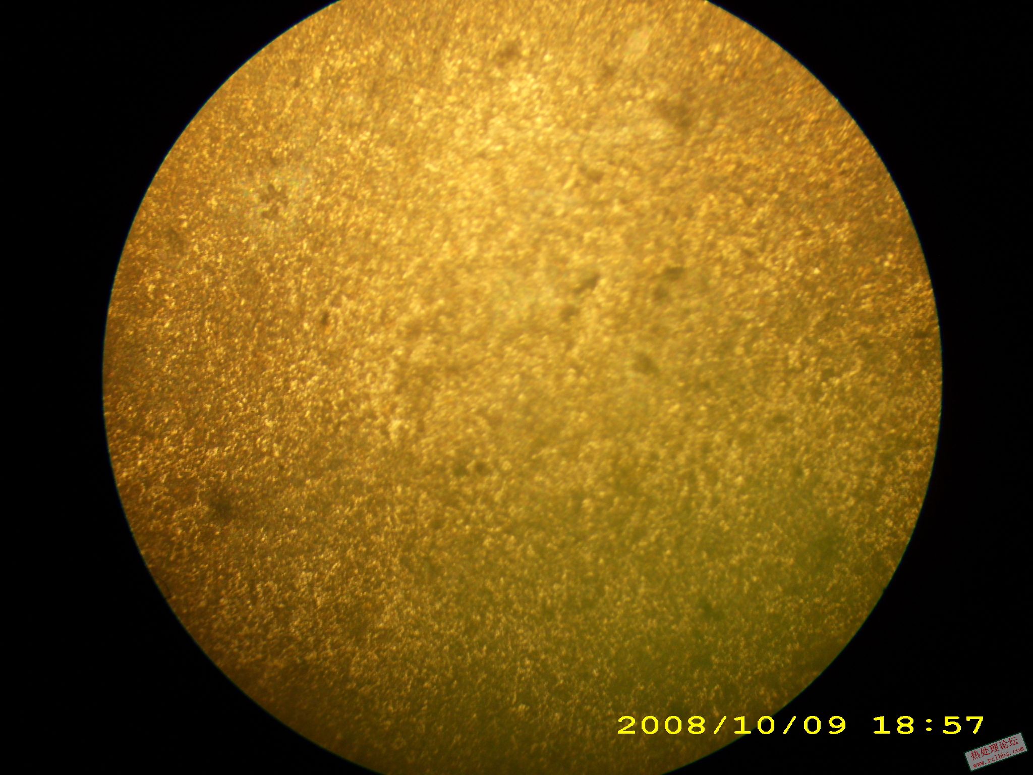 DSCI0528.JPG