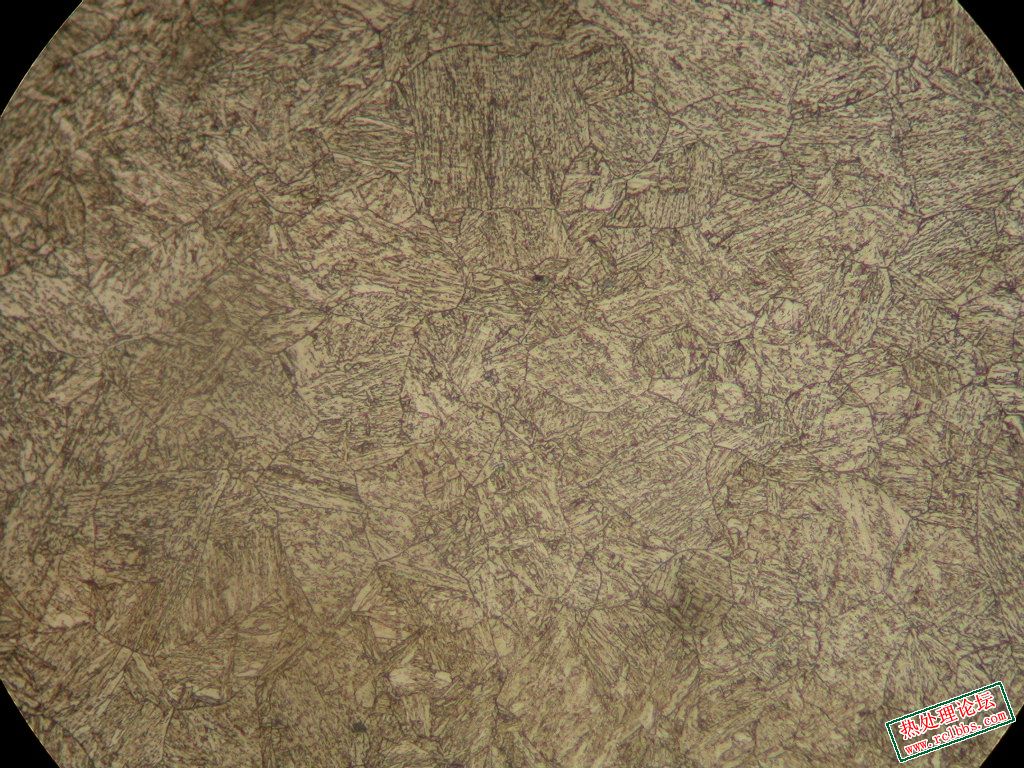 DSCN8520.JPG