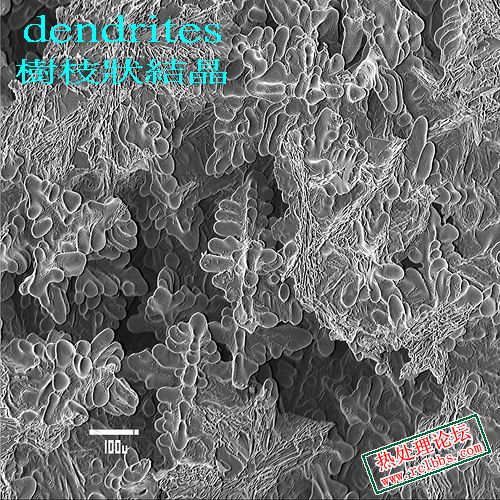 dendrite 縮孔.jpg