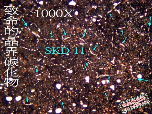 PB019176.jpg