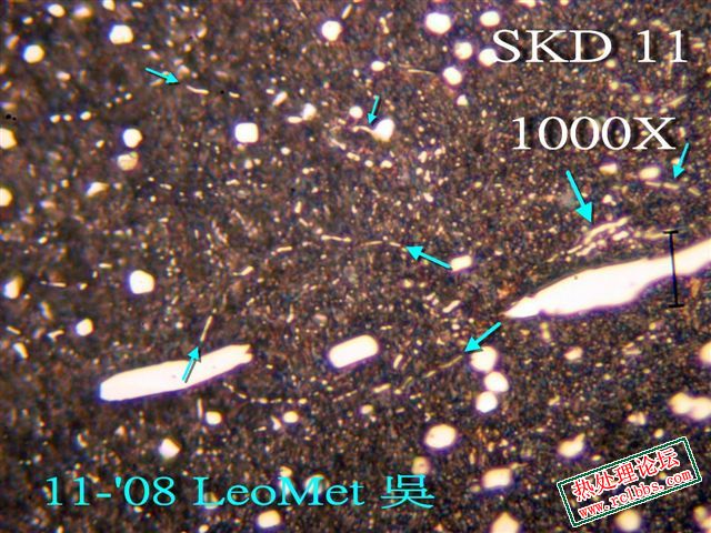 PB019164.jpg