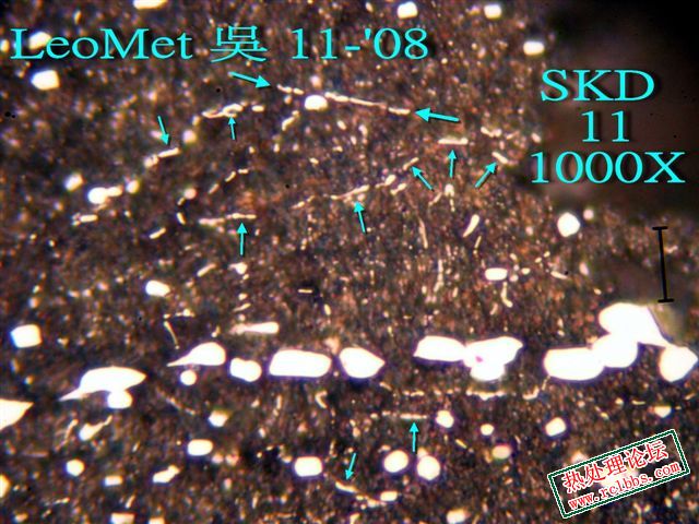 PB019157.jpg