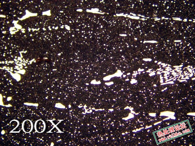PB019132.jpg