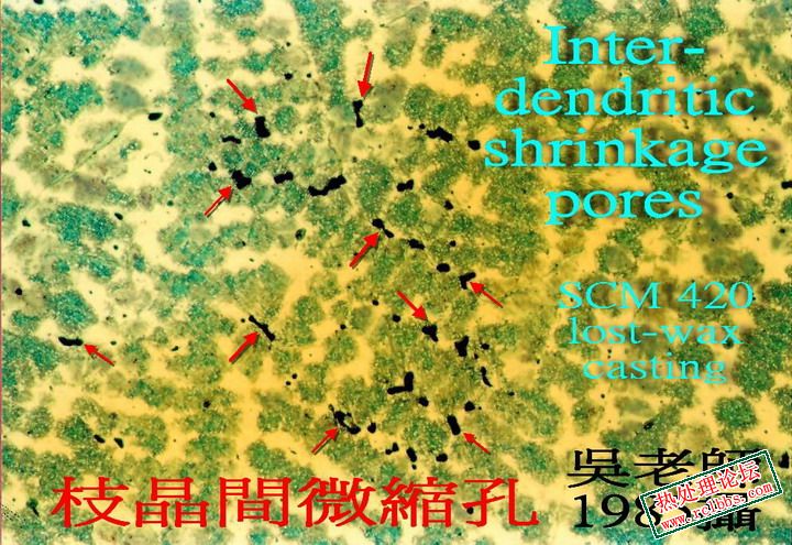 Dendrite 2_S.jpg