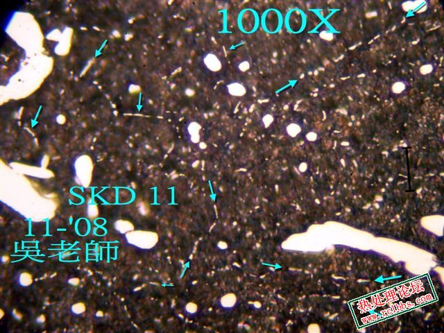 PB019150.jpg
