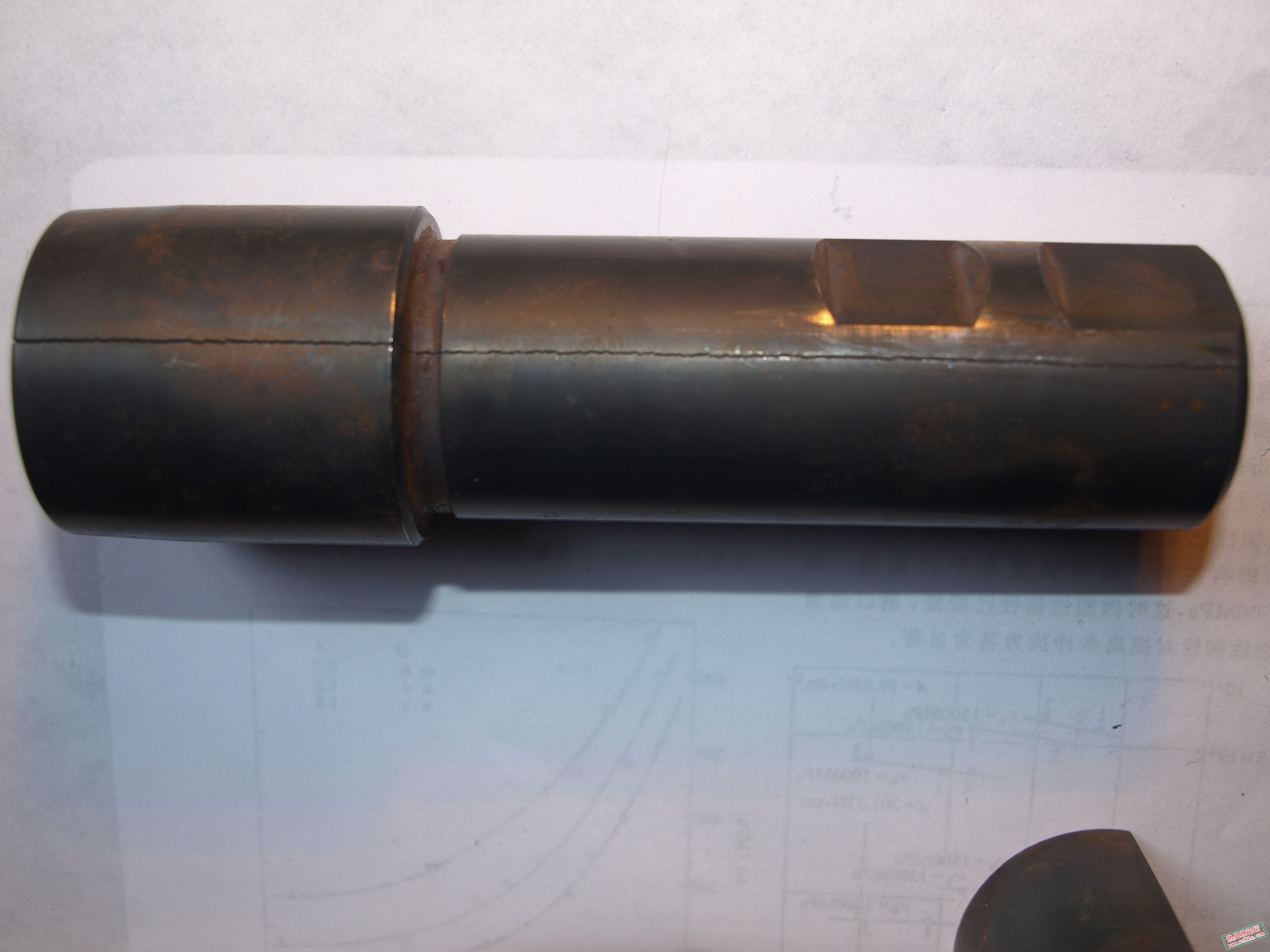 PB020205.JPG