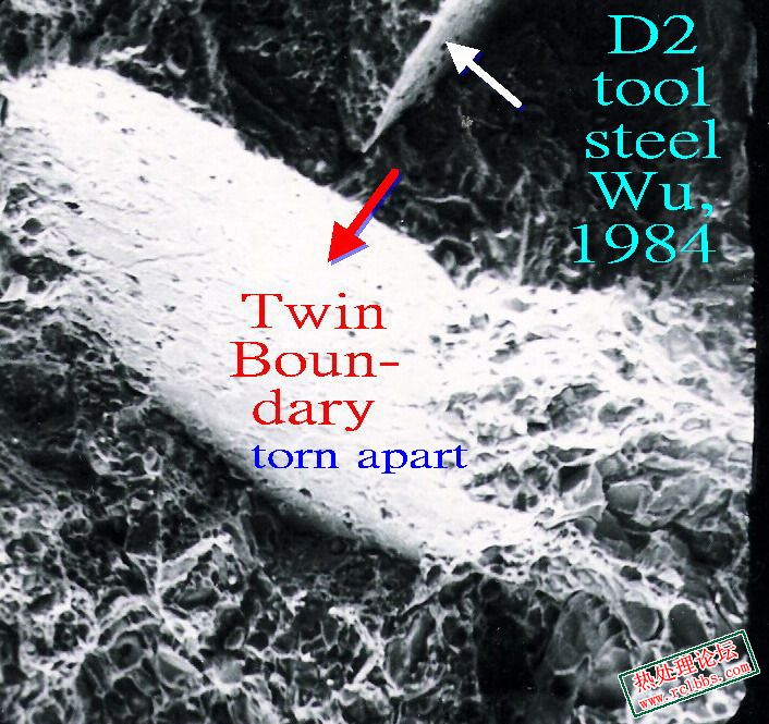 twin SEM 2.jpg