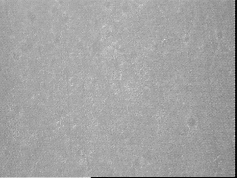 德捷力9(一个样)200倍.bmp