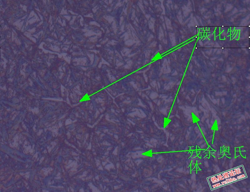 碳化物500X.JPG