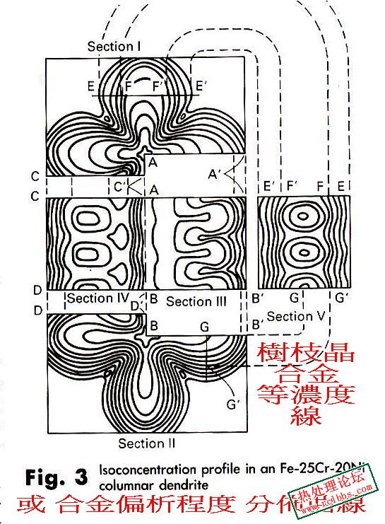 Dendrite 73.jpg