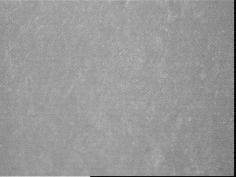 德捷力12(一个样)400倍.bmp