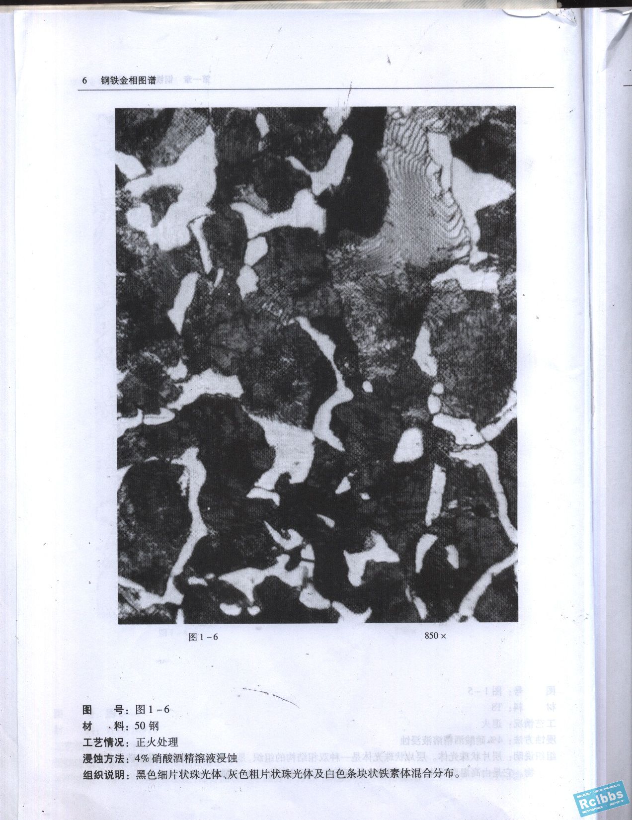 土.jpg