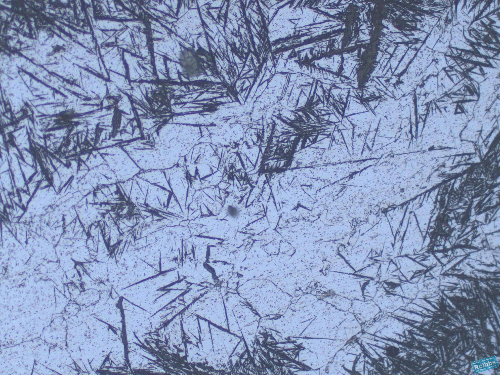 200x-2.jpg