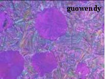 1.jpg.bmp