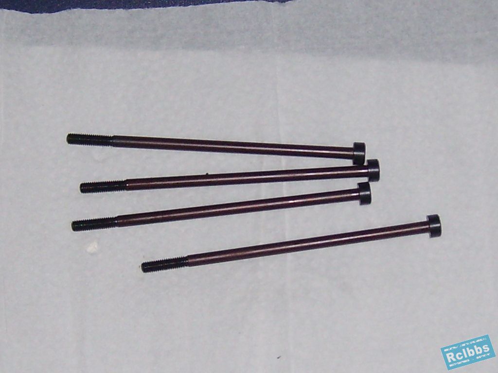 SL272596.JPG