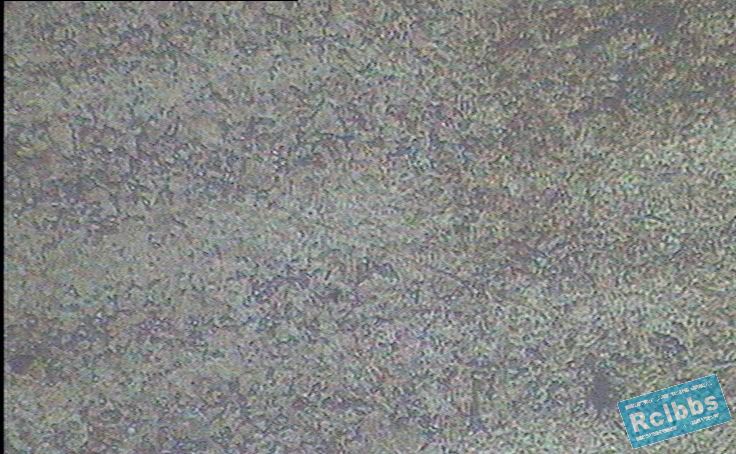 200c.jpg