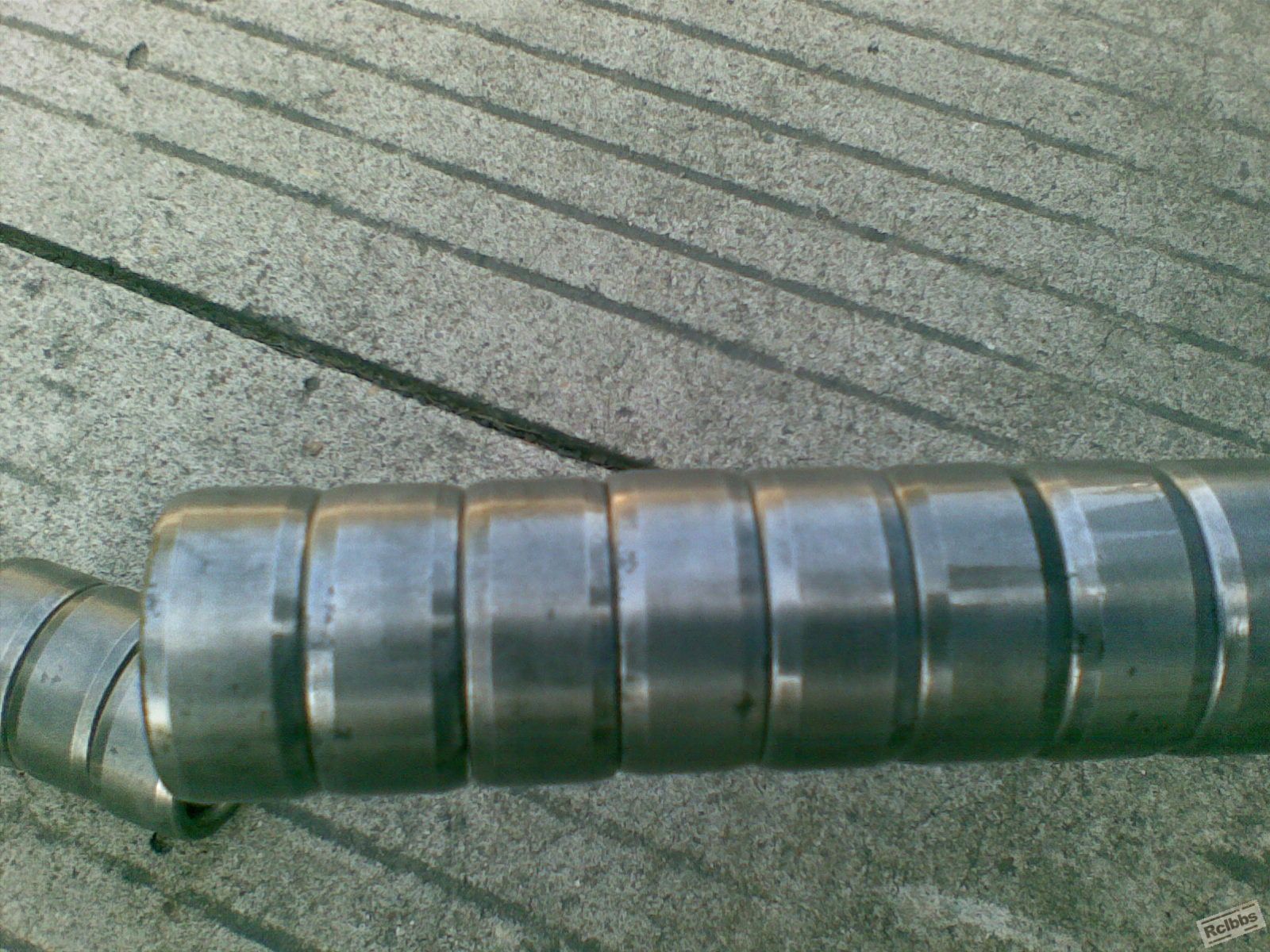 20081113(002).jpg
