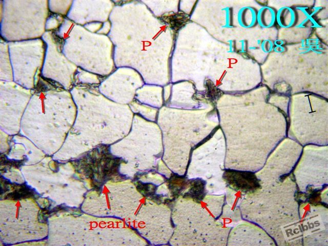 P1010398_E.jpg