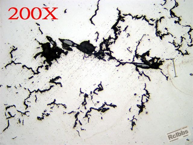 P1014999C.jpg