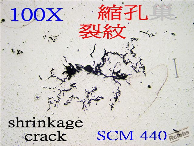 P1014996B.jpg