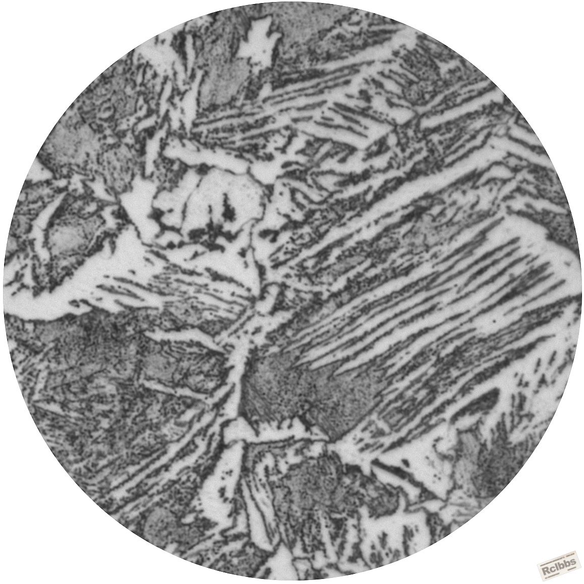 100×物镜.jpg