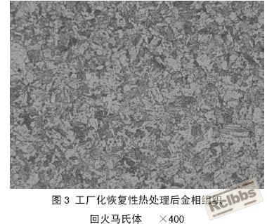 正常回火组织