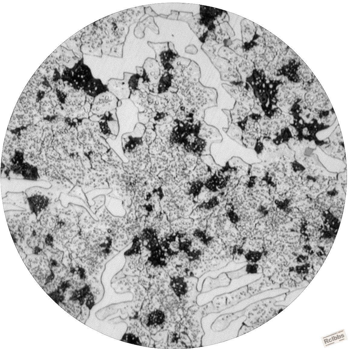 B1-1000.jpg