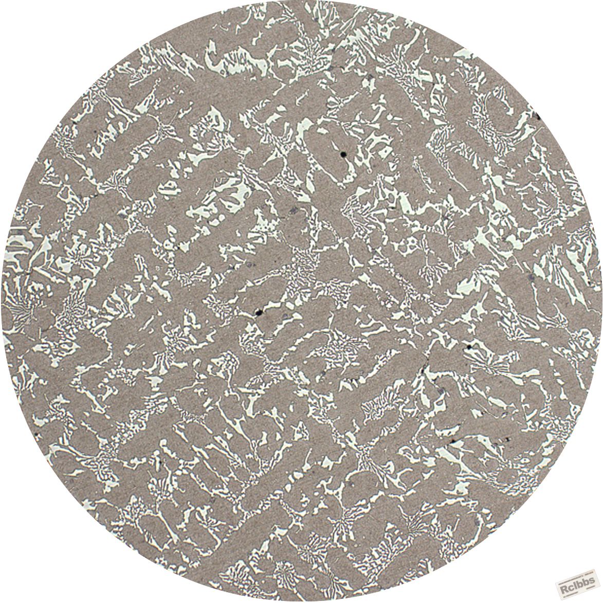 B2-100.jpg