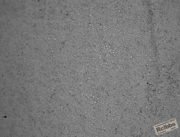 001.GIF