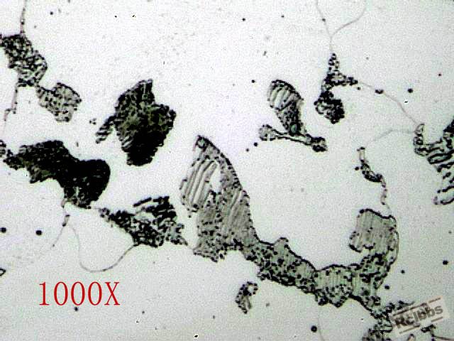 1000X 拷贝.jpg