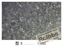共析层100X.JPG