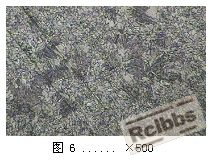 心部100X.JPG