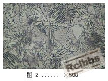 心部400X.JPG