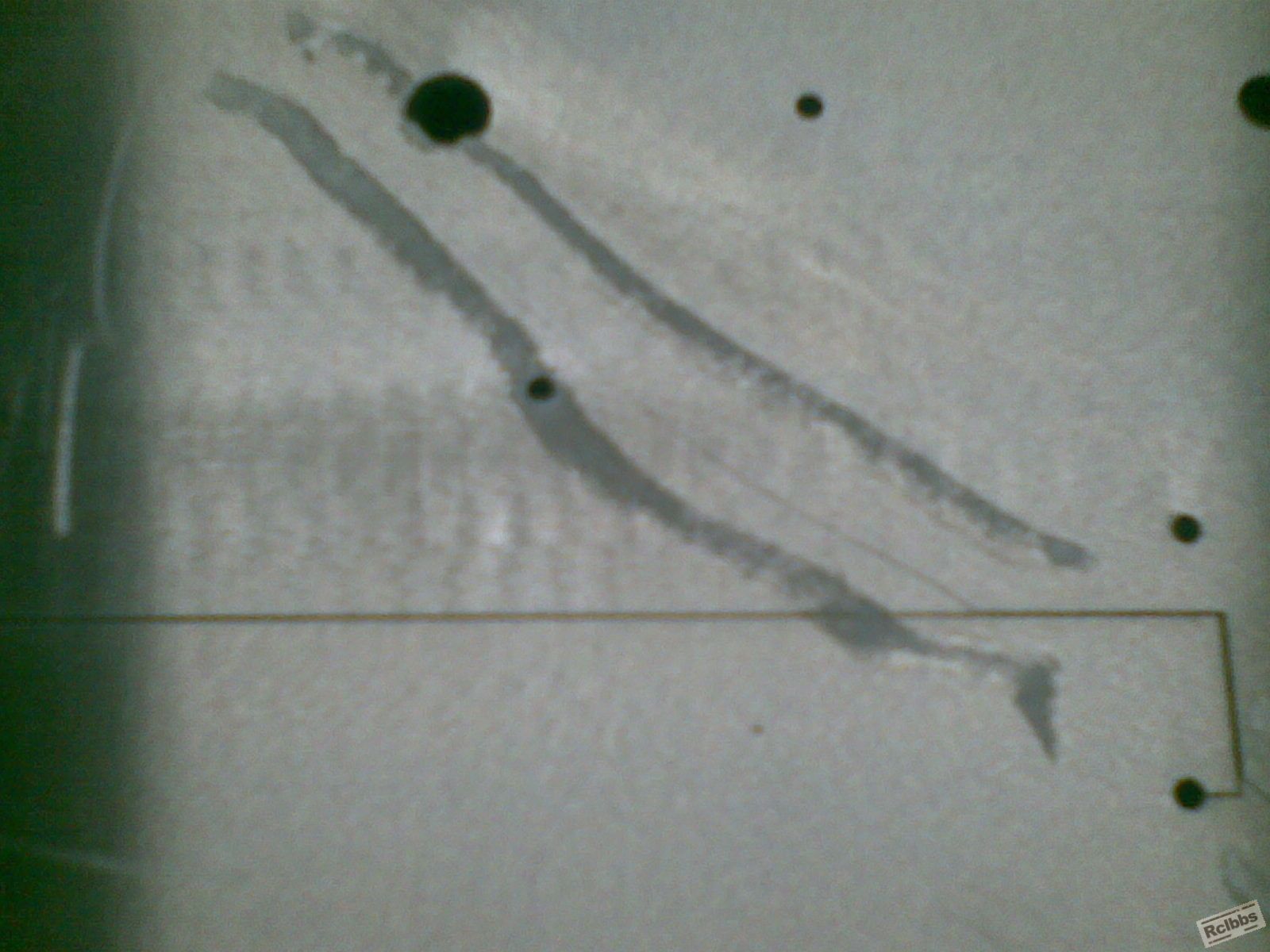 20081126(019).jpg