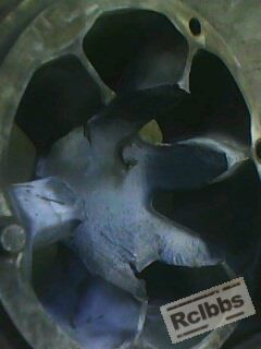 IMG0098A.jpg